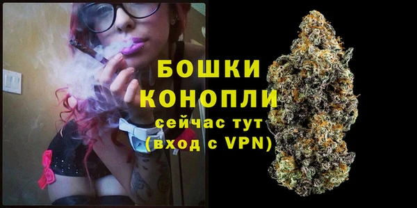 круглые Аркадак