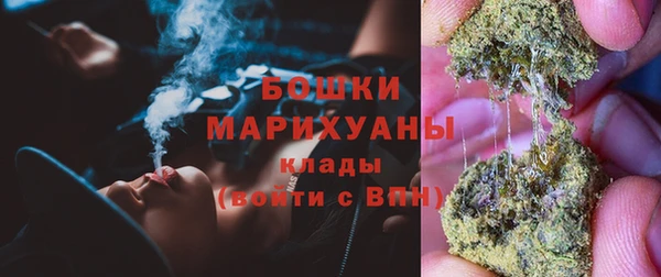 сатива Арсеньев