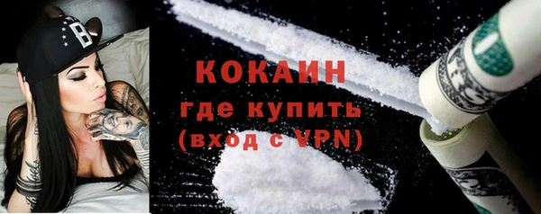 сатива Арсеньев