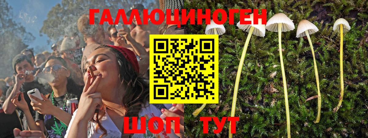 Галлюциногенные грибы Psilocybe  Вход с VPN  Чебоксары 