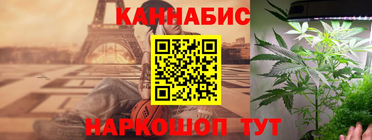 Бошки марихуана SATIVA & INDICA  Бошки Шишки план  Вход с VPN  Чебоксары  Марихуана марихуана 